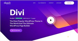 divi