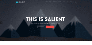 salient wordpress theme