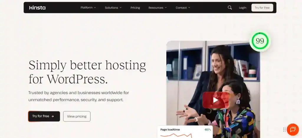 Kinsta hosting
